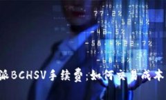 全面解析比特派BCHSV手续费