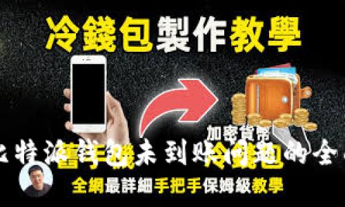 解决比特派钱包未到账问题的全面指南