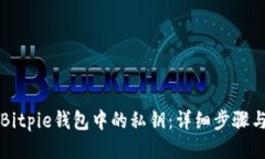 如何查看Bitpie钱包中的私