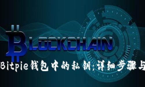 如何查看Bitpie钱包中的私钥：详细步骤与安全指南