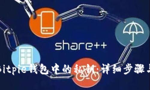 如何查看Bitpie钱包中的私钥：详细步骤与安全指南