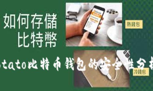 深入探讨：Potato比特币钱包的安全性分析与用户指南
