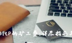 apache如何有效购买BitP的矿