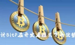 深入探讨BitP在开发者模式
