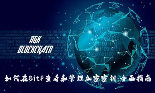 如何在BitP查看和管理加密密钥：全面指南
