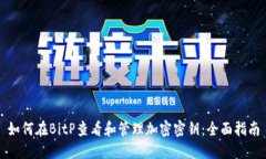 如何在BitP查看和管理加密