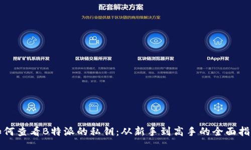 如何查看B特派的私钥：从新手到高手的全面指南
