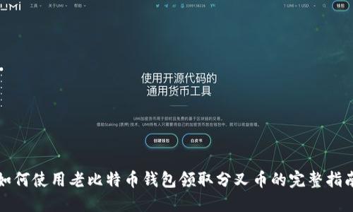 如何使用老比特币钱包领取分叉币的完整指南