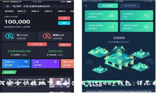 如何安全快捷地下载和使用Bitkeep钱包：详尽指南