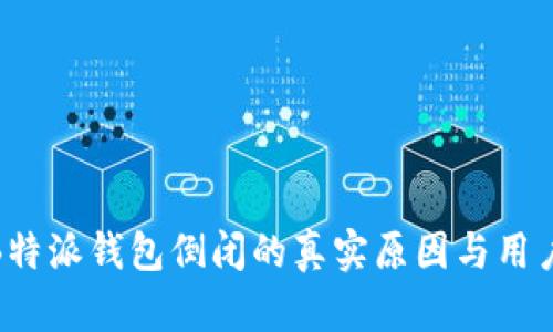 探讨B特派钱包倒闭的真实原因与用户影响