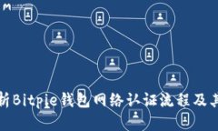 全面解析Bitpie钱包网络认