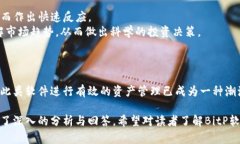   探索苹果BitP软件：图标