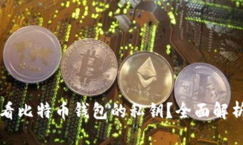 如何安全查看比特币钱包的私钥？全面解析与实用指南