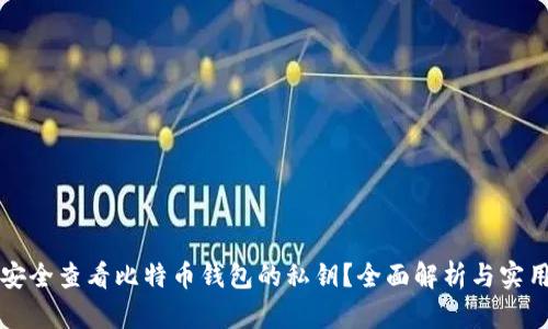 如何安全查看比特币钱包的私钥？全面解析与实用指南