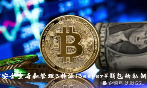 如何安全查看和管理B特派（Beeper）钱包的私钥密码
