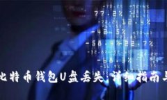 如何应对比特币钱包U盘丢