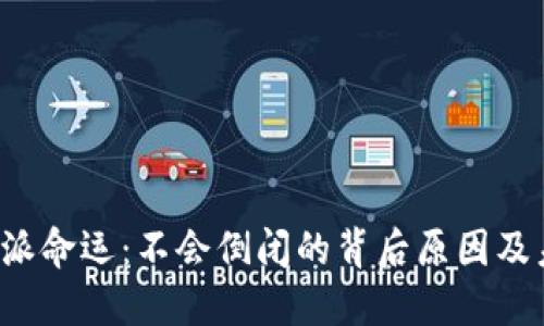 揭秘b特派命运：不会倒闭的背后原因及未来展望