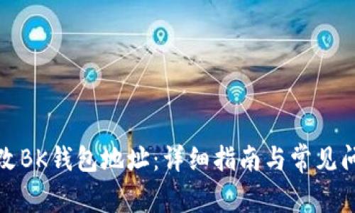 如何更改BK钱包地址：详细指南与常见问题解答