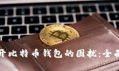 如何解决无法打开比特币钱包的困扰：全面解析与解决方案