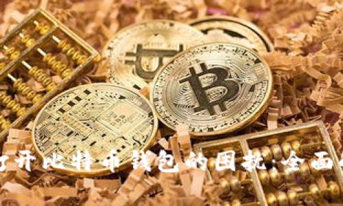 如何解决无法打开比特币钱包的困扰：全面解析与解决方案
