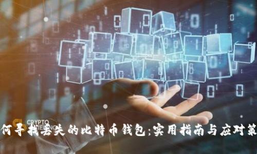 如何寻找丢失的比特币钱包：实用指南与应对策略