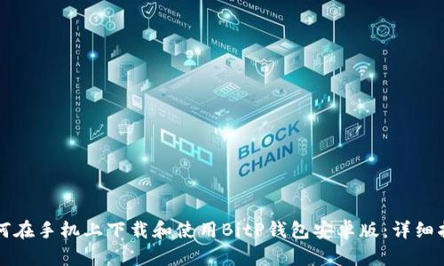 如何在手机上下载和使用BitP钱包安卓版：详细指南