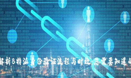 深入解析B特派身份验证流程与时效：您需要知道的一切