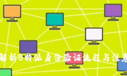 全面解析B特派身份验证流程与注意事项