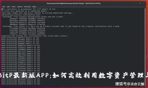全面解析BitP最新版APP：如何高效利用数字资产管理与交易平台