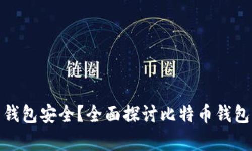 存比特币用什么钱包安全？全面探讨比特币钱包的类型与安全性