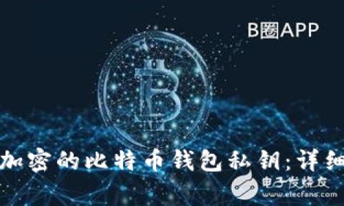 如何安全地查看加密的比特币钱包私钥：详细指南与注意事项