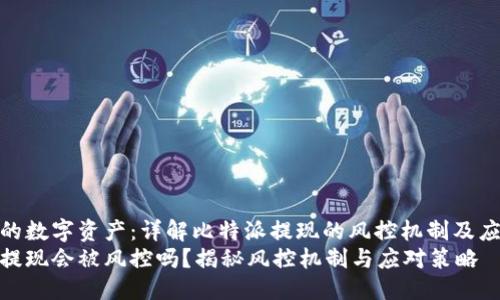 振兴您的数字资产：详解比特派提现的风控机制及应对策略
比特派提现会被风控吗？揭秘风控机制与应对策略