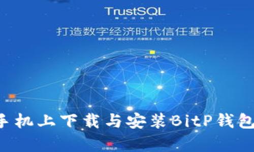 如何在安卓手机上下载与安装BitP钱包：全方位指南