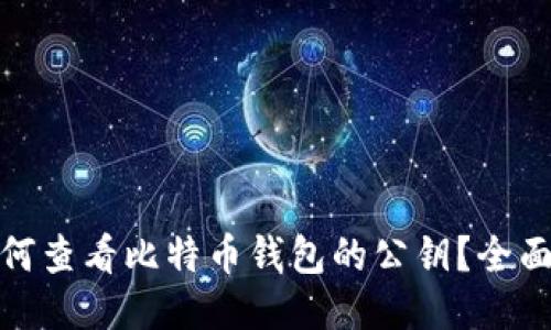 : 如何查看比特币钱包的公钥？全面指南