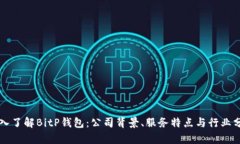 深入了解BitP钱包：公司背