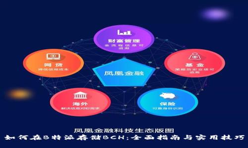 如何在B特派存储BCH：全面指南与实用技巧