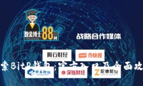 探索BitP钱包：官方入口及全面攻略