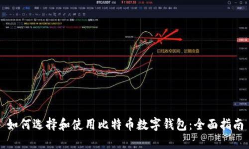 如何选择和使用比特币数字钱包：全面指南