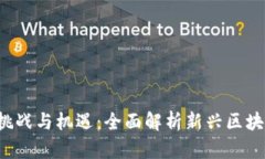Web3时代的挑战与机遇：全