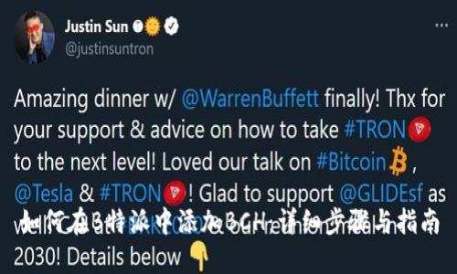 如何在B特派中添加BCH：详细步骤与指南
