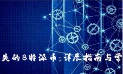 如何找回丢失的B特派币：