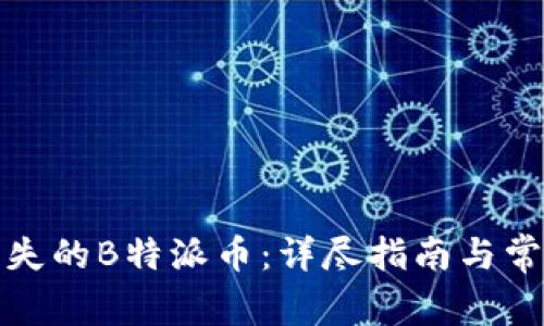 如何找回丢失的B特派币：详尽指南与常见问题解答