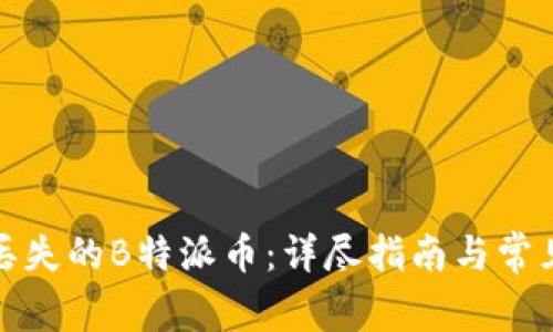 如何找回丢失的B特派币：详尽指南与常见问题解答