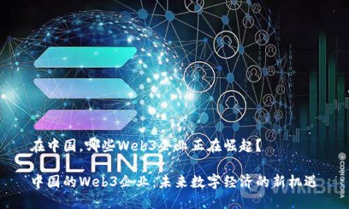 在中国，哪些Web3企业正在崛起？

中国的Web3企业：未来数字经济的新机遇