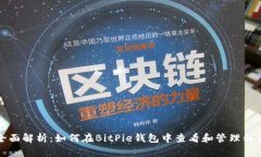 全面解析：如何在BitPie钱