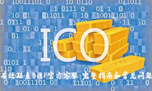 如何有效联系BitP官方客服：完整指南和常见问题解答