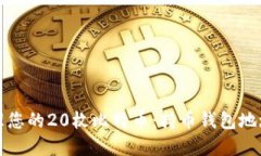 如何安全管理您的20枚比特