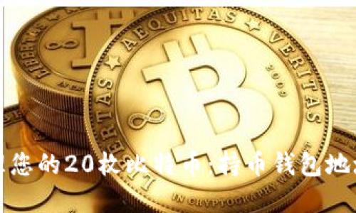 如何安全管理您的20枚比特币：持币钱包地址的最佳实践