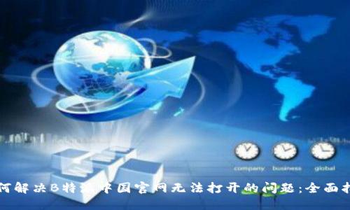 如何解决B特派中国官网无法打开的问题：全面指南