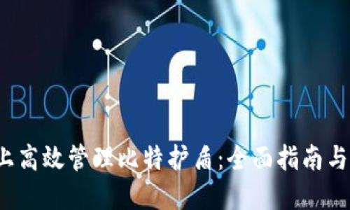 在B特派上高效管理比特护盾：全面指南与实用策略